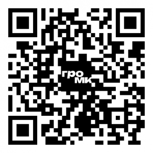 QR код компании Дмитрий красный автобус