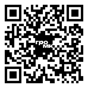QR код компании НИИСФ РААСН
